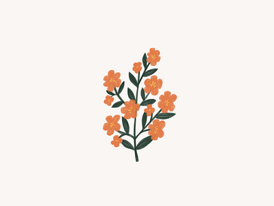 orange flower flower illustration