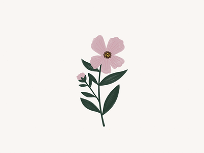 purple flower flower illustration