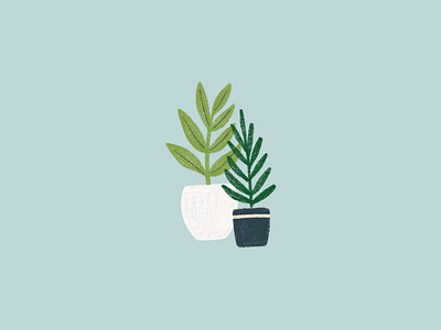 plants illustration drawing illustration plant tree