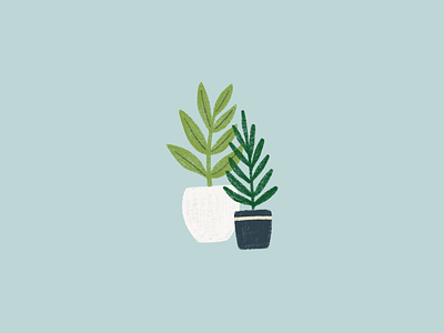 plants illustration