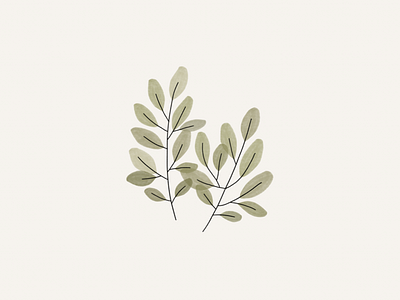 spring leaves drawing illustration plant