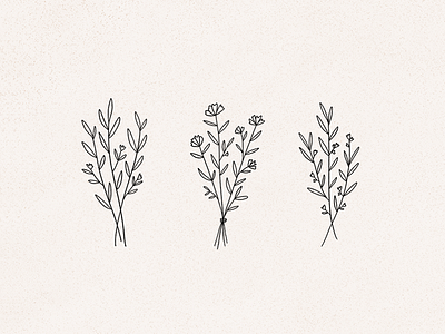 wildflowers flower illustration flowers line art