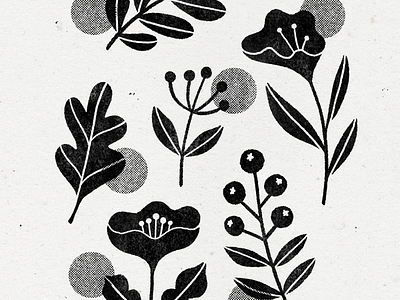 exploring linocuts - part 1 illustration linocut plants stamp