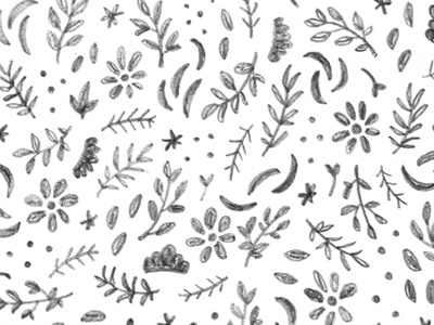 pattern no.2 / floral floral hand drawn pattern