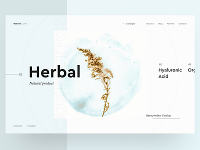 Natural cosmetics concept cosmetics ecommerce herbal makeup minimal store typography ui ux web