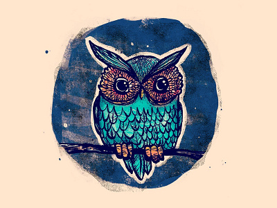 Night Owl feathers illustration owl texture