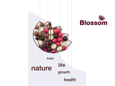 Blossom identity agriculture logo art direction brand branding design flower logo health lifestyle logo modern superfoods
