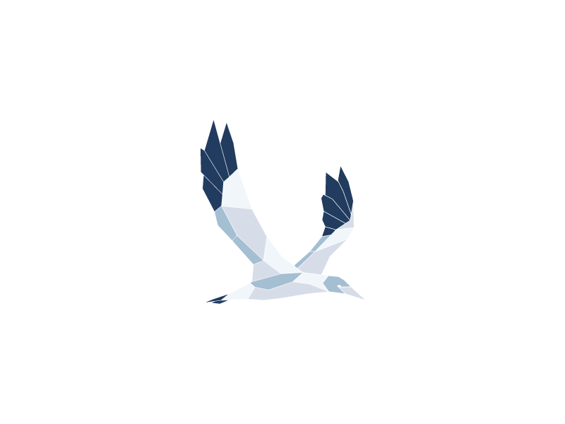 havsule seabird flying spread wing low poly 