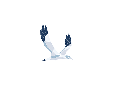 Havsule Logo Design brand branding flying illustration logo designer low poly modern poly art seabird travel logo vector art