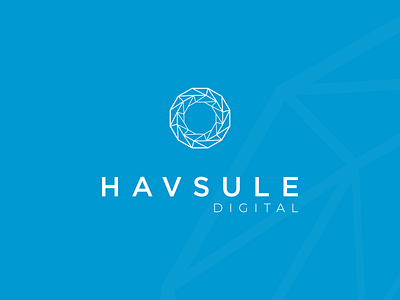 Havsule Digital abstract branding cyan design logo logodesign mark minimal modern nest tech