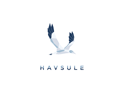 Havsule adventure bird branding calm geometric illustration logo logodesign travel vector