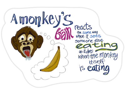 Monkey adobe ideas banana drool ipad ixda monkey sketchnotes ux uxbookclub