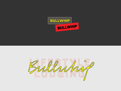 Bullwhip Lifestyle branding lettering logo mark script tractorbeam type typography