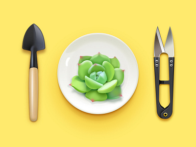 Delicacy plant； scissors；shovel