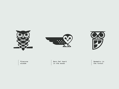 Owl & Forest connection black and white branding design icon illustration logo nature owl vector