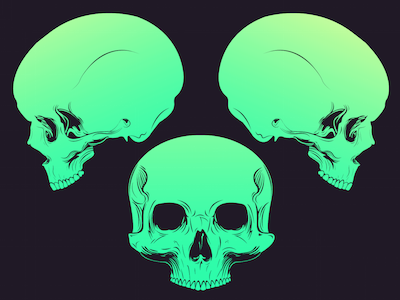 Skulls Work realism semi skull skulls