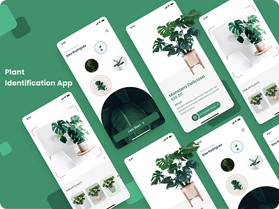 Plant Identification App UI animation app appdesign branding design green mobile plant plant identification app ui uidesign ux