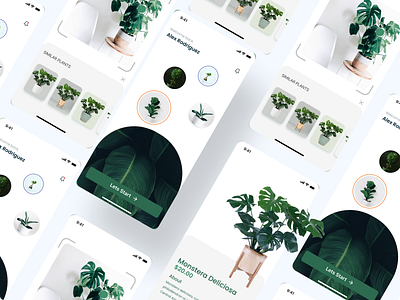 Plant Searching App UI design green minimal plant ui uiux ux