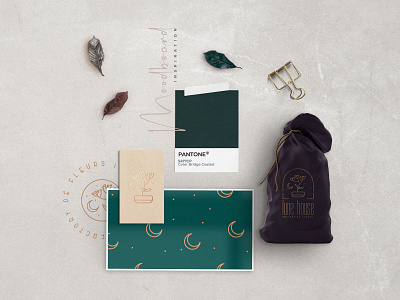 Moodboard Inspiration branding clean design flatlay graphics green illustration inspiration logo mockup moodboard packaging product