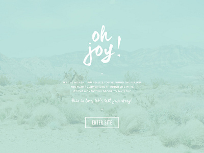 Oh joy! A landing page. branding landing page photography photography website web design