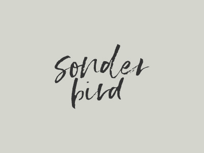 Sonderbird brand identity hand lettering logo photography branding photography logo script