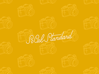 SoCal Standard Preview brand identity branding camera hand lettered hand lettering icon wordmark