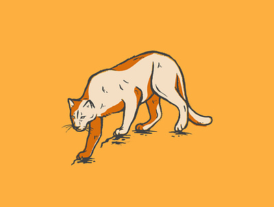 Cougar Icon animal brand identity branding cougar desert icon illustration procreate vector