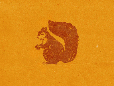 Squirrel Illo illustration procreate retro texture