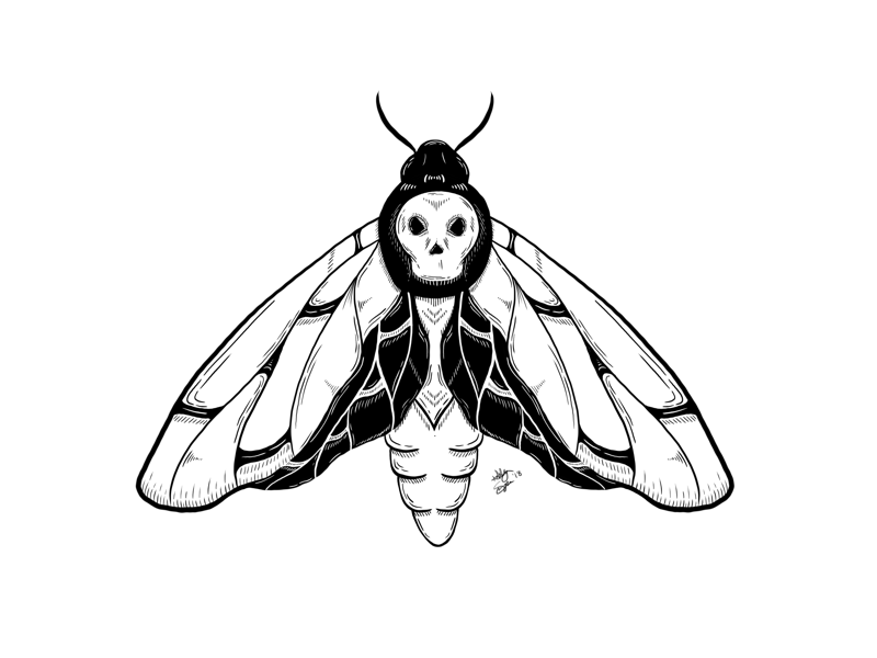 💀🦋 nyc black and white death tattoo black work illustration illustration line work death head moth death moth