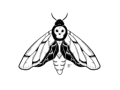 💀🦋 black and white black work illustration death death head moth death moth illustration line work nyc tattoo