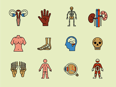 The Body Icon set anatomy healthcare icons illustration
