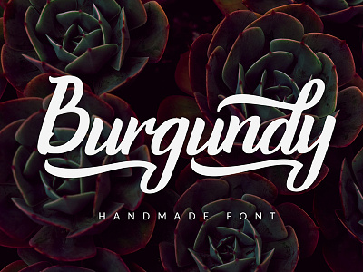 Burgundy - Handmade Font calligraphy creativemarket download font letter lettering logo script typography