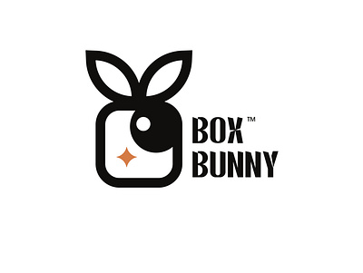 BOX BUNNY art birthday box branding bunny creative design flat gift idea illustration logo star