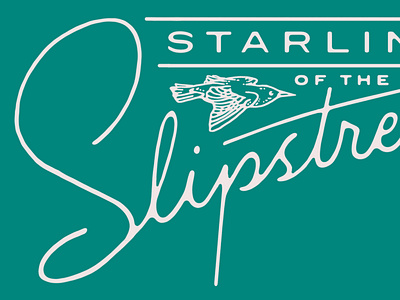 Slipstream bird design illustration lettering mcwhorter seth type art typography
