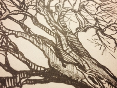 Tree Detail drawing illustration ink mcwhorter pen seth sketch tree