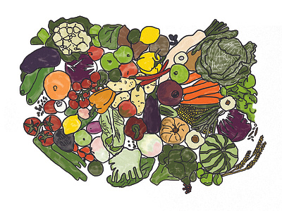 Fruits & Veg agriculture design food foodillustration illustration illustrations ipad pro women in illustration