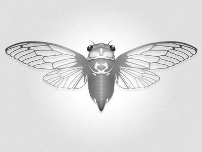 Cicada work in progress