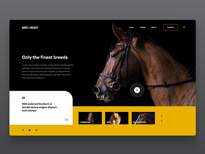 Horse stable company web design concept creative graphicdesign horse ui ui ux uidesign uiux webdesign website