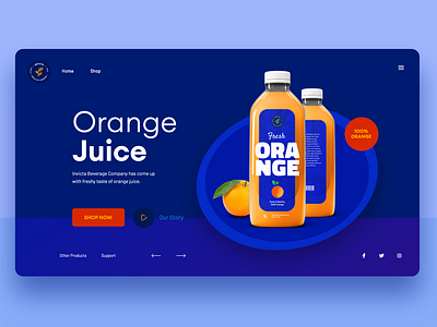 Orange Juice Webdesign - Version 2