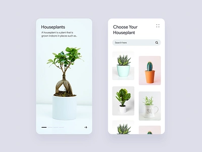 Houseplants e-commerce Application app application creative design ecommerce ecommerce app ecommerce design green plant twig ui