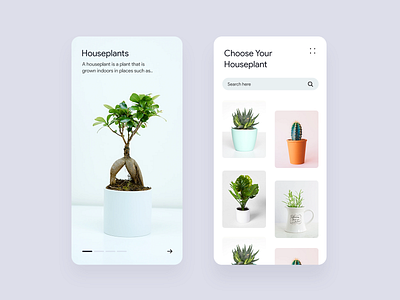 Houseplants e-commerce Application