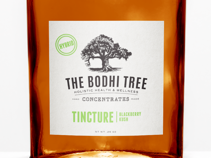 The Bodhi Tree Tincture by Kristina Plummer on Dribbble