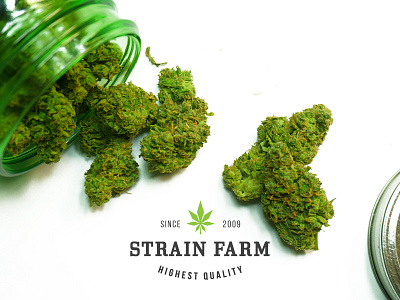 Strain Farm 420 bud cannabis leaf logo marijuana medical