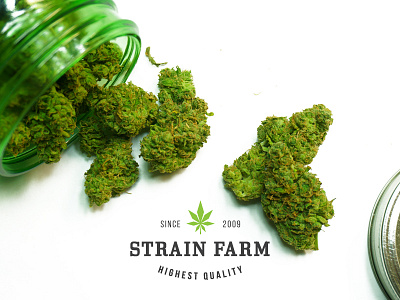 Strain Farm