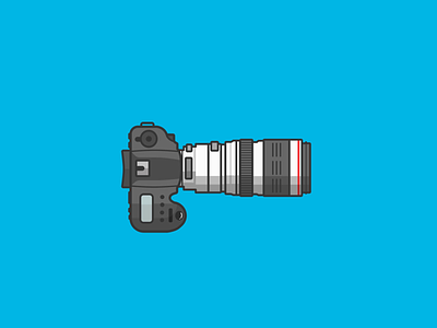 Canon DSLR animation camera canon clean flat