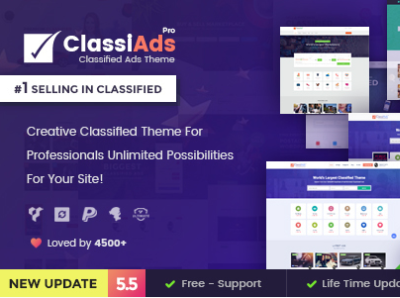 Best Classified Wordpress Theme!