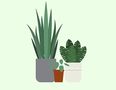Houseplants bright colors curvature tool curve design experiment icon illustration minimal minimalist plants vector