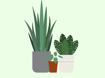 Houseplants bright colors curvature tool curve design experiment icon illustration minimal minimalist plants vector