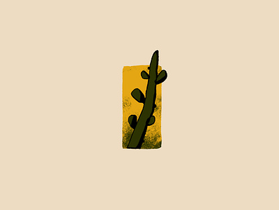 Shapes cactus illustration mexico plantlife plants texture