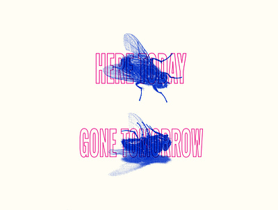 Here today, gone tomorrow collage design fly graphic design halftone illustration riso risograph risography texture typography